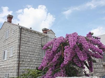 Apartment In Port With Sea View Dubrovnik Exterior photo